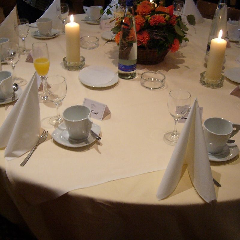 Dinner Napkins