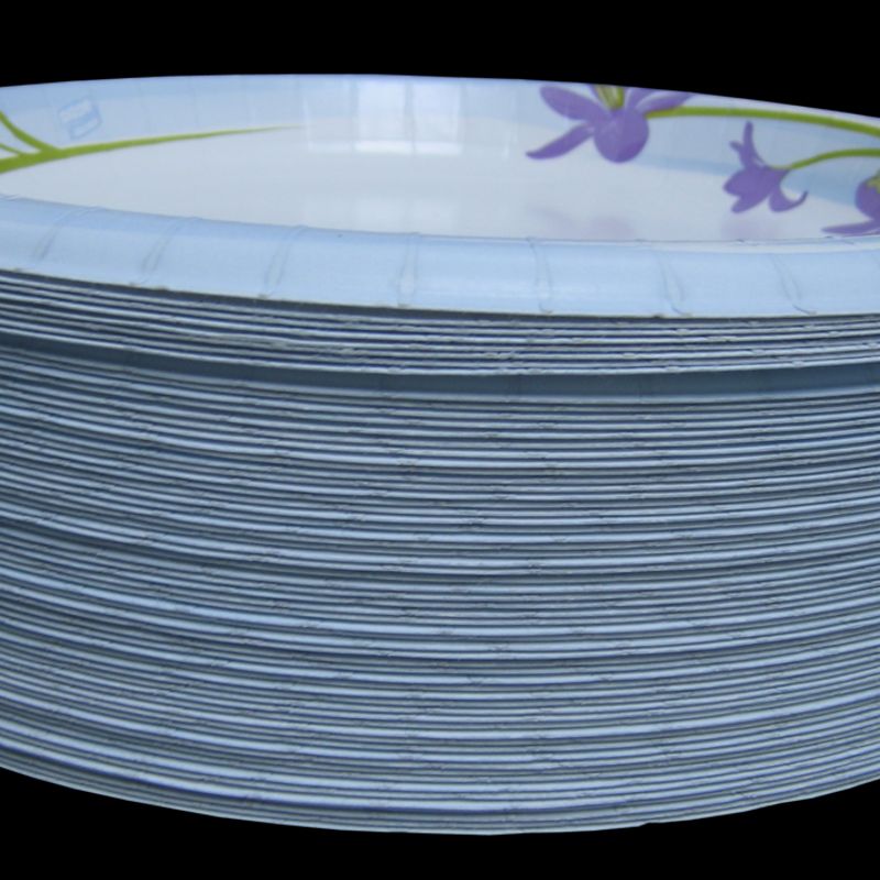 Sugarcane Plate 9"